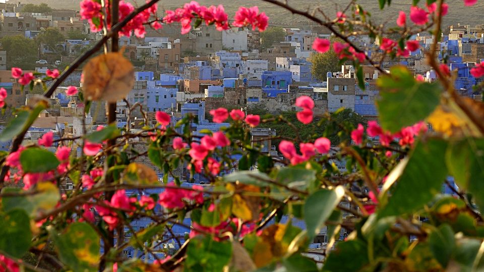 Photo of Jodhpur, Rajasthan, India by Stino