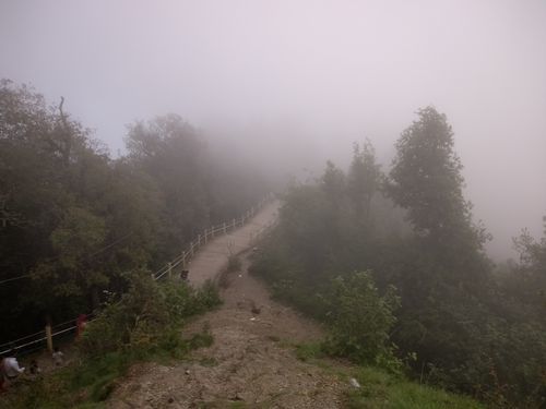 Photo of Kanatal, Kaudia Range, Uttarakhand, India by samiksha jain