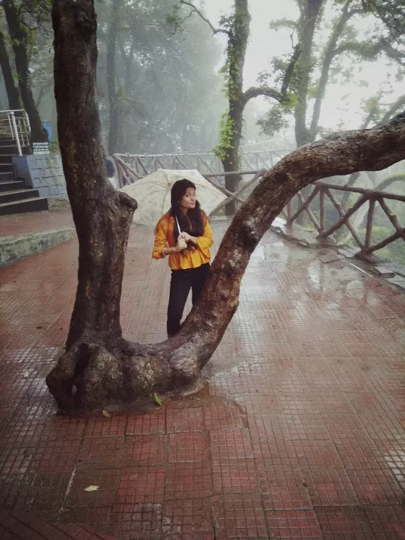 Photo of Lansdowne, Uttarakhand, India by samiksha jain