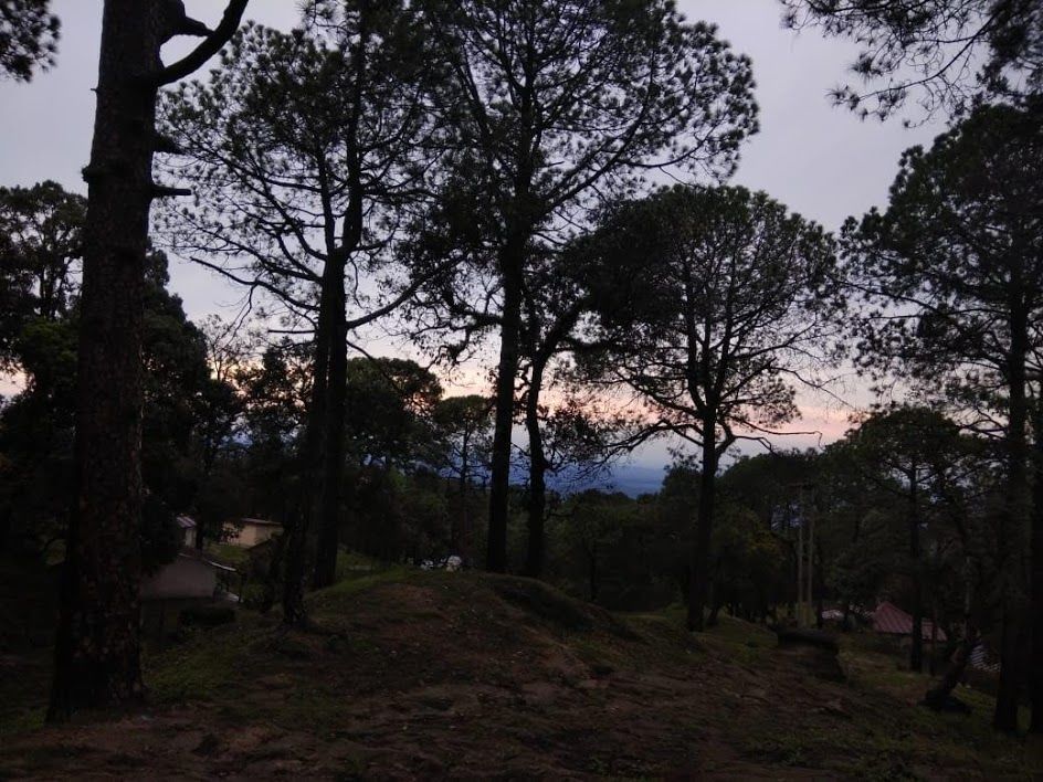 Photo of Founded as a military garrison, this hill station is indeed a picturesque paradise by samiksha jain