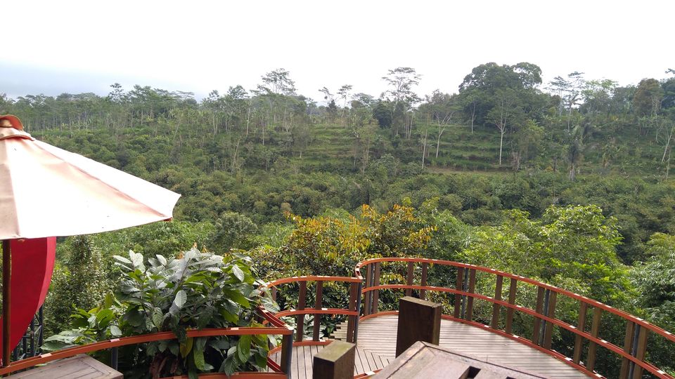 Photo of BAS De ATAYANA (I Love BAS Agrotourism), Penglumbaran, Bangli Regency, Bali, Indonesia by Akash Jain