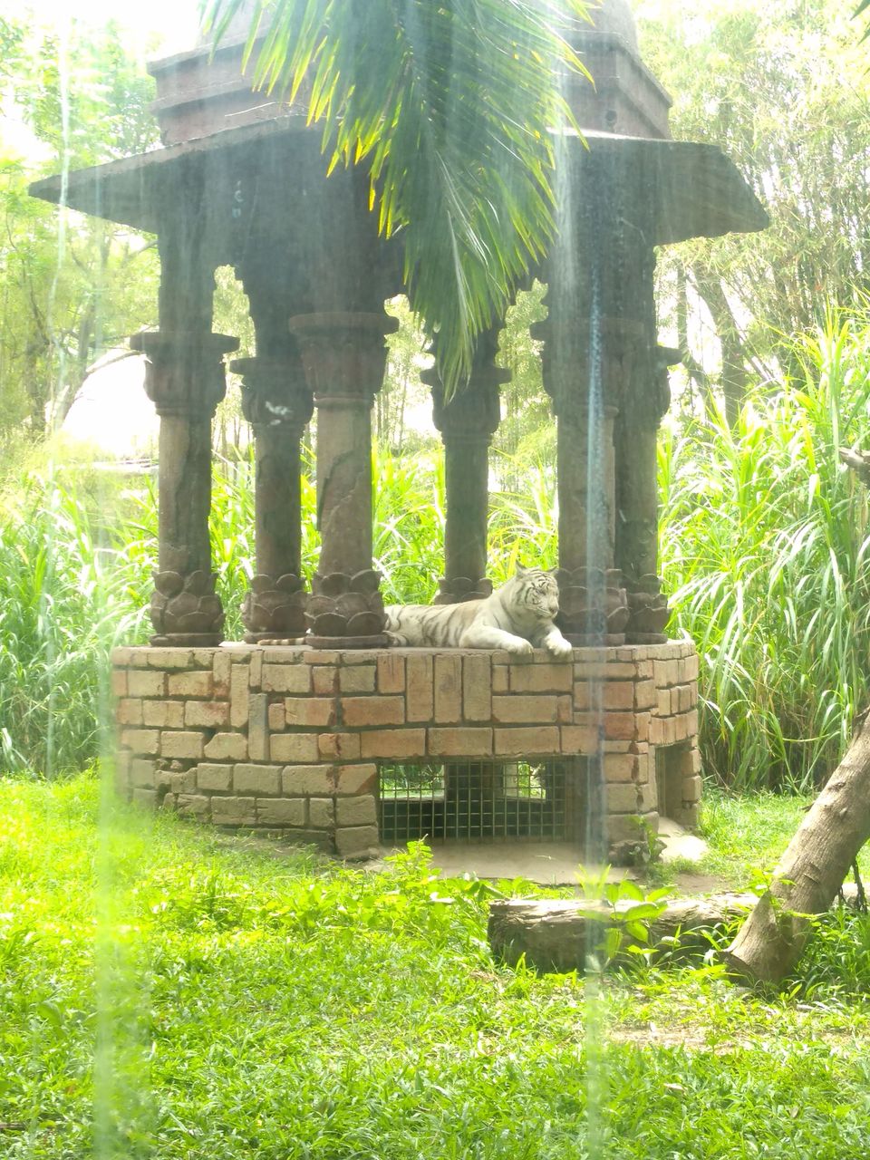 Photo of Bali Safari & Marine Park, Serongga, Gianyar, Bali, Indonesia by Akash Jain