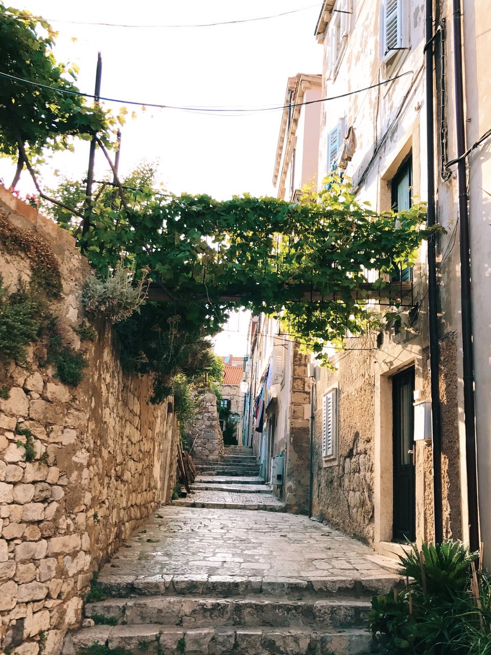 Photo of Walls of Dubrovnik, Dubrovnik, Croatia by Riya Dosani