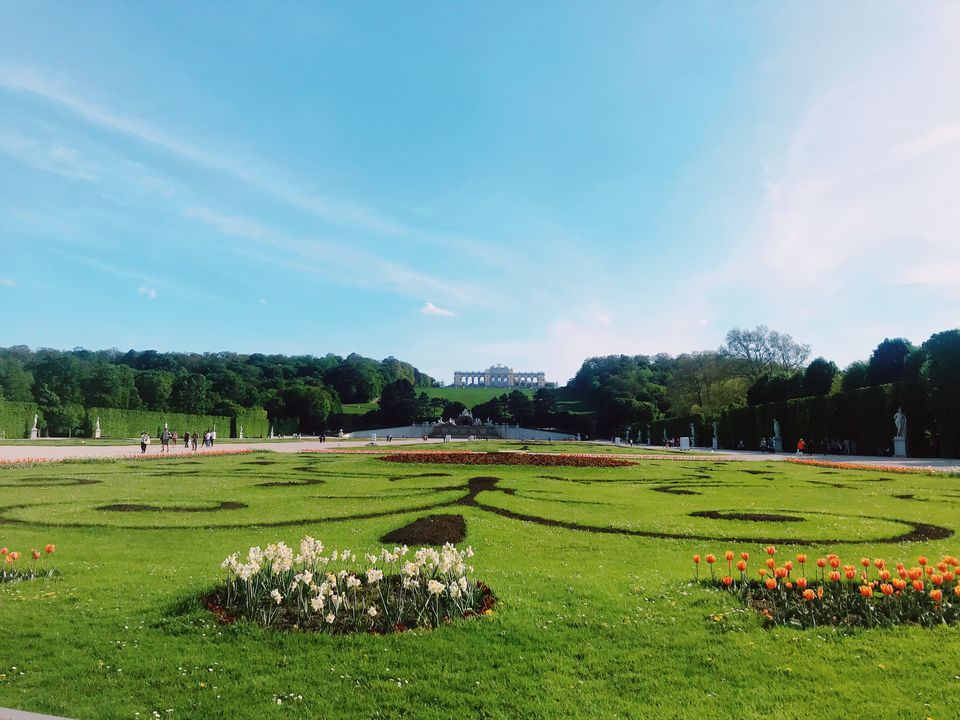 Photo of Schönbrunn Gardens of the Federal Gardens Vienna & Innsbruck, Vienna, Austria by Riya Dosani