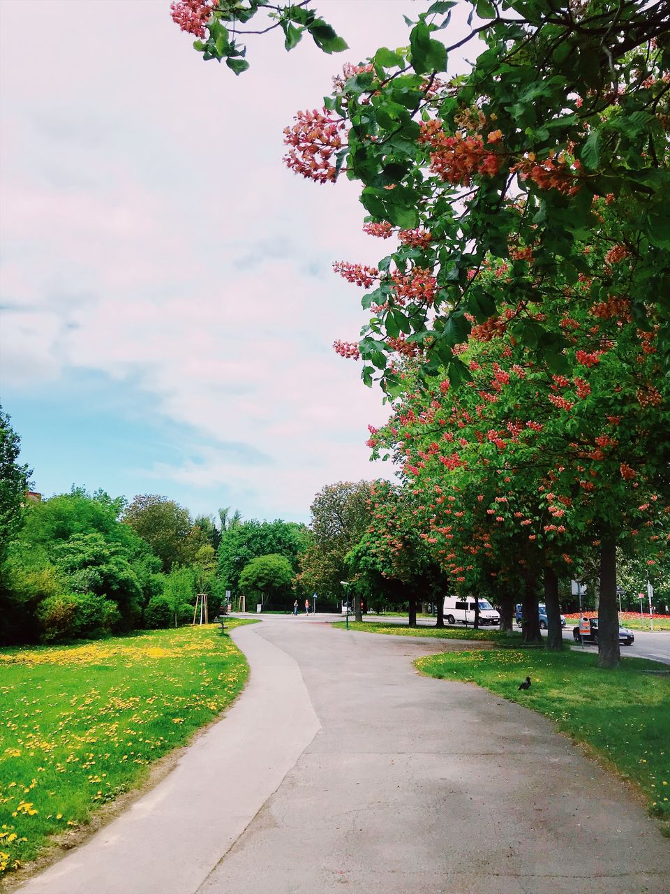 Photo of MY TOP EXPERIENCES IN VIENNA IN 24 HOURS! by Riya Dosani