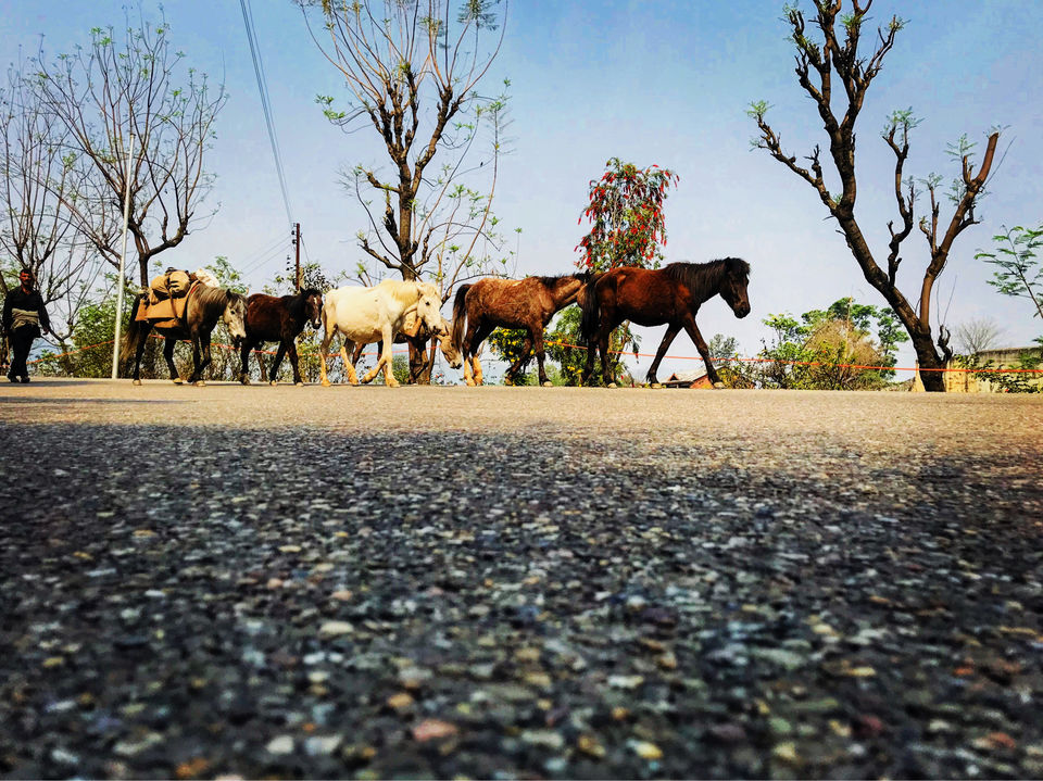 Photo of Set Yourself Free Amidst The Parvati Valley. by Prangan Lahkar