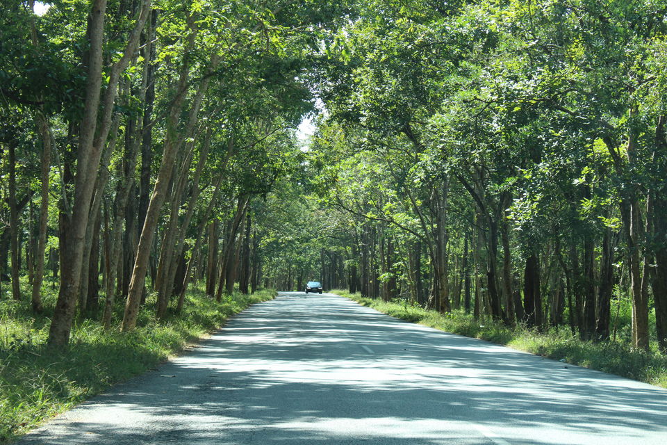 Photo of 7 Days Road Trip to South India from Pune 1/4 by paik manoj