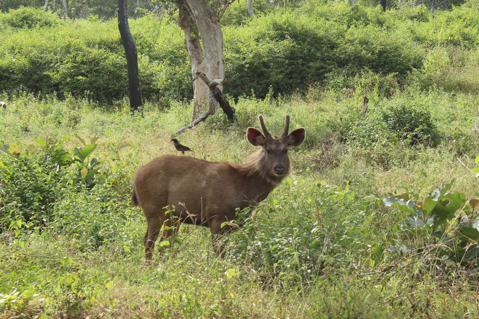 Photo of 7 Days Road Trip to South India from Pune 3/4 by paik manoj