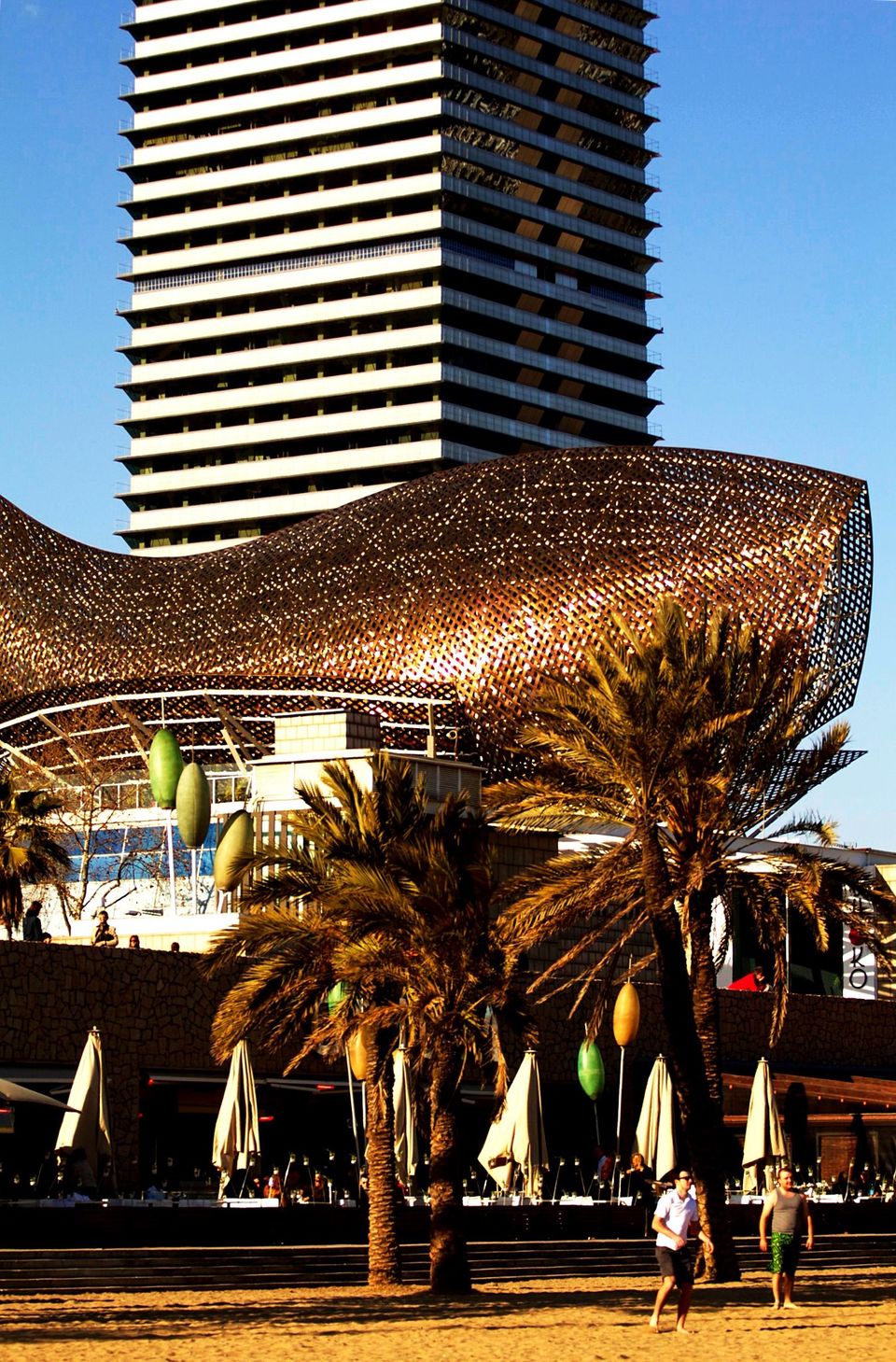 Photo of Barcelona for Beginners: A Walking Tour by Ljiljana Spasojevic