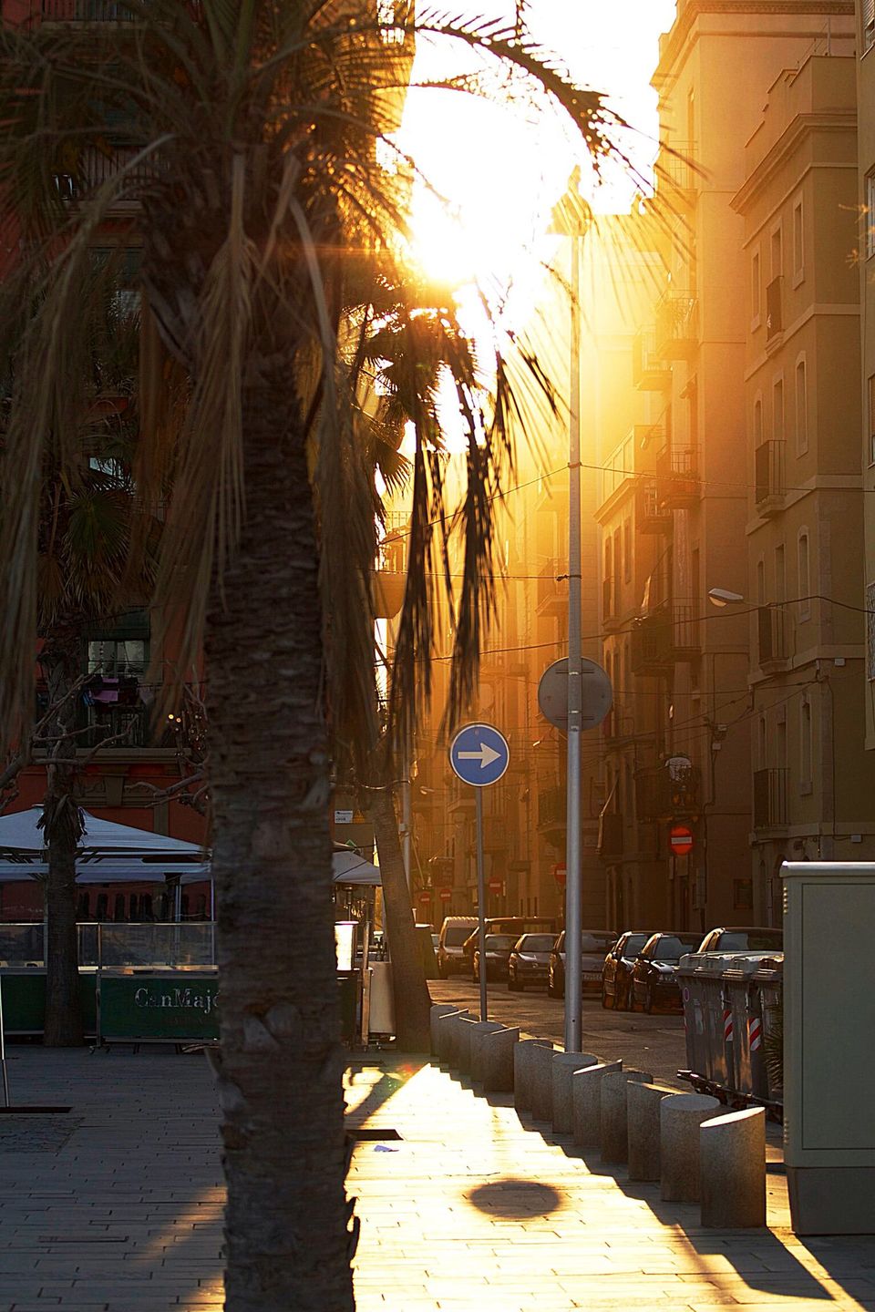 Photo of Barcelona for Beginners: A Walking Tour by Ljiljana Spasojevic