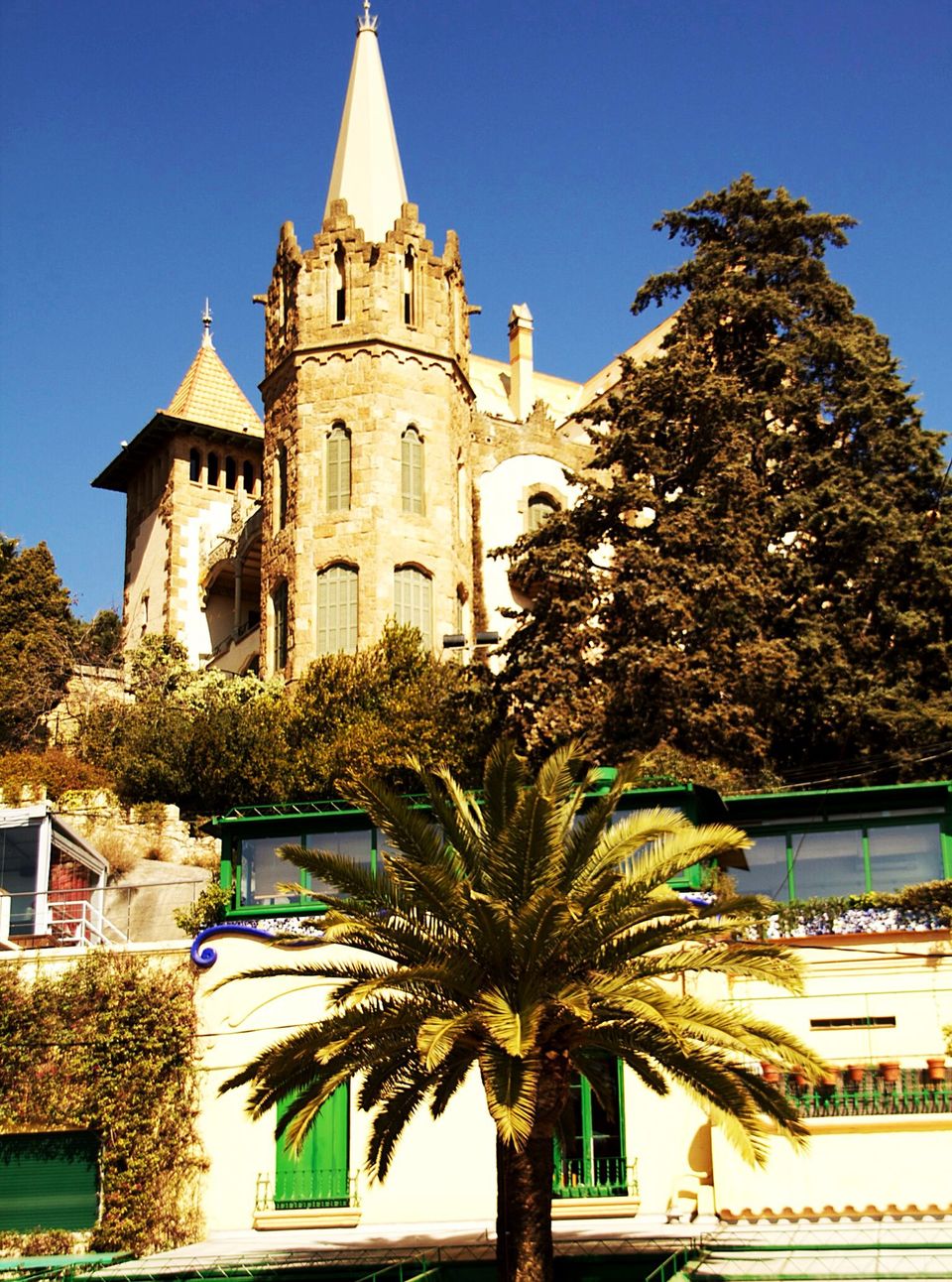 Photo of Barcelona for Beginners: A Walking Tour by Ljiljana Spasojevic