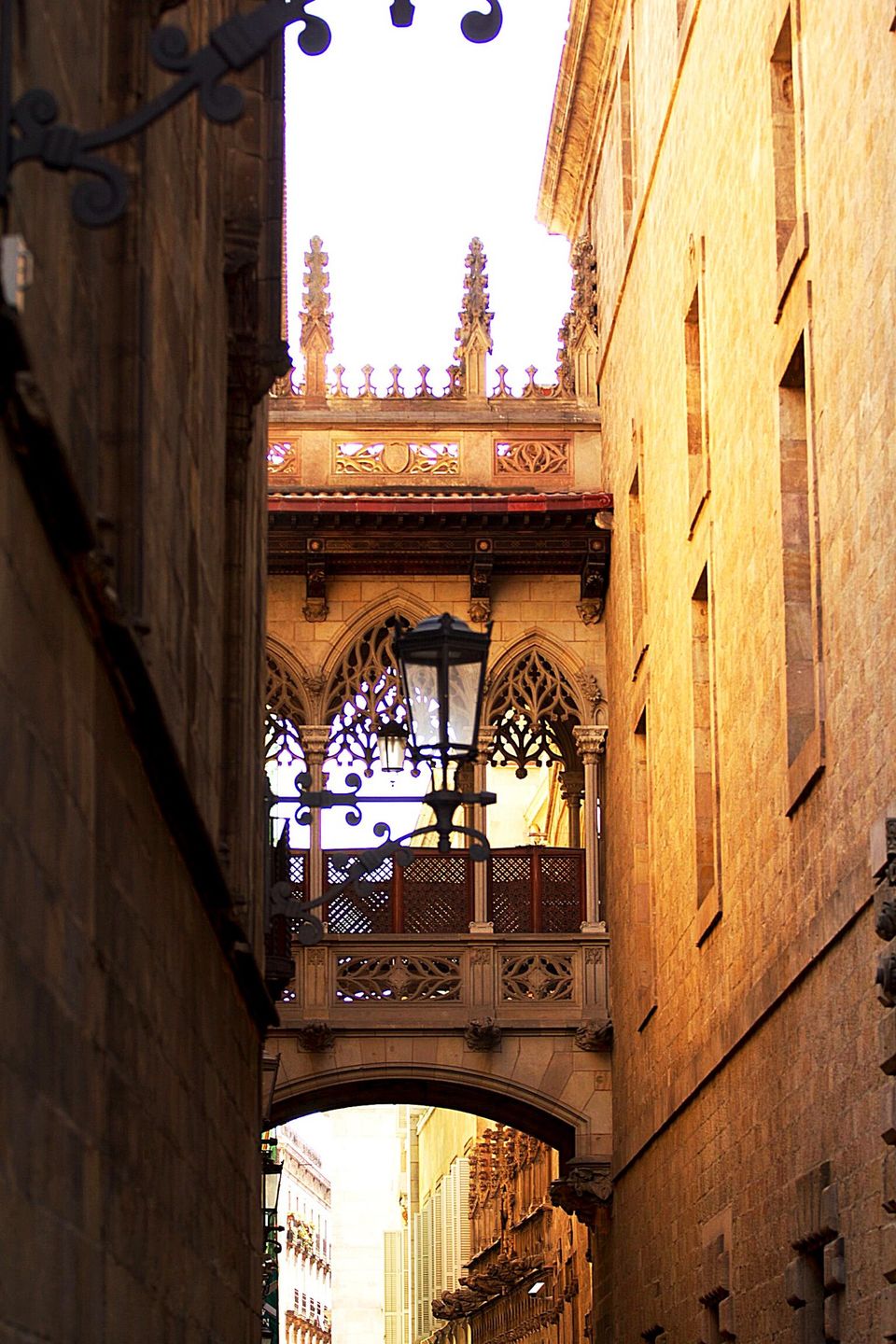 Photo of Barcelona for Beginners: A Walking Tour by Ljiljana Spasojevic