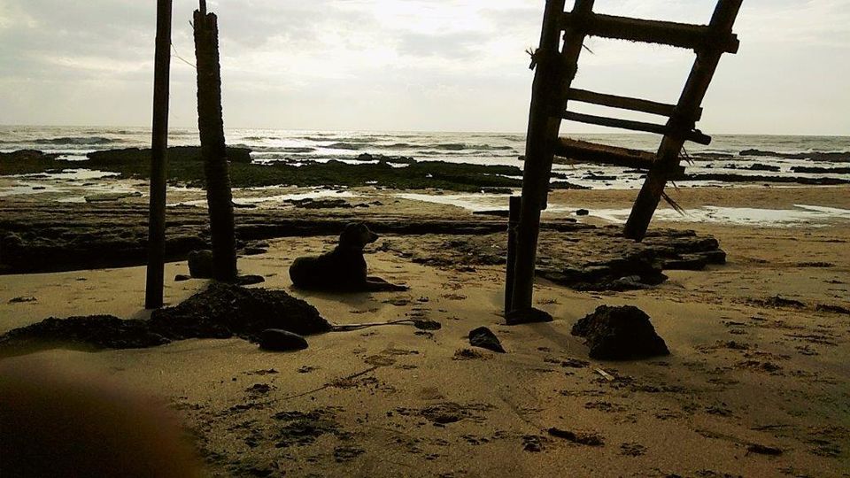 Photo of Goa-Treat to Soul.. by Ankita Srivastava