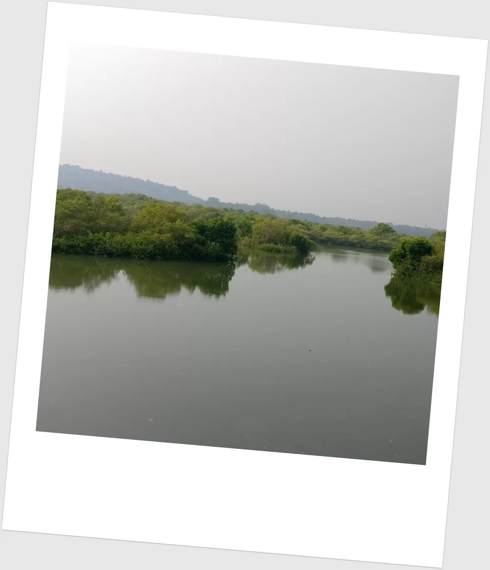 Photo of Serene Waters Hotel, Ribandar, Goa, India by Shilpi Sneha