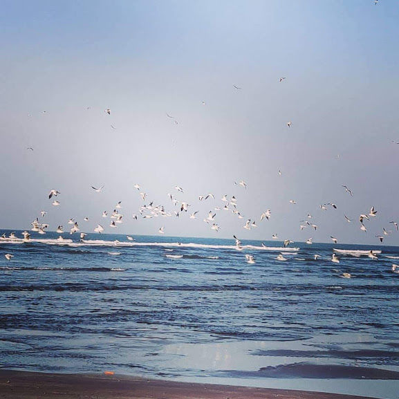 Photo of Blue Water and Black Beach by Shilpi Sneha