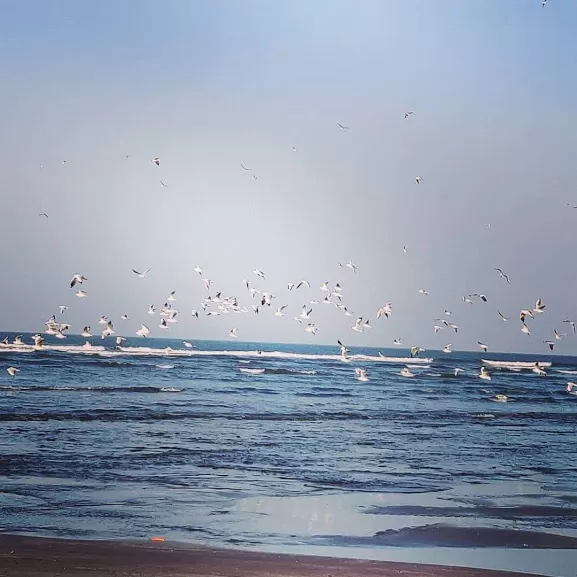 Photo of Blue Water and Black Beach by Shilpi Sneha