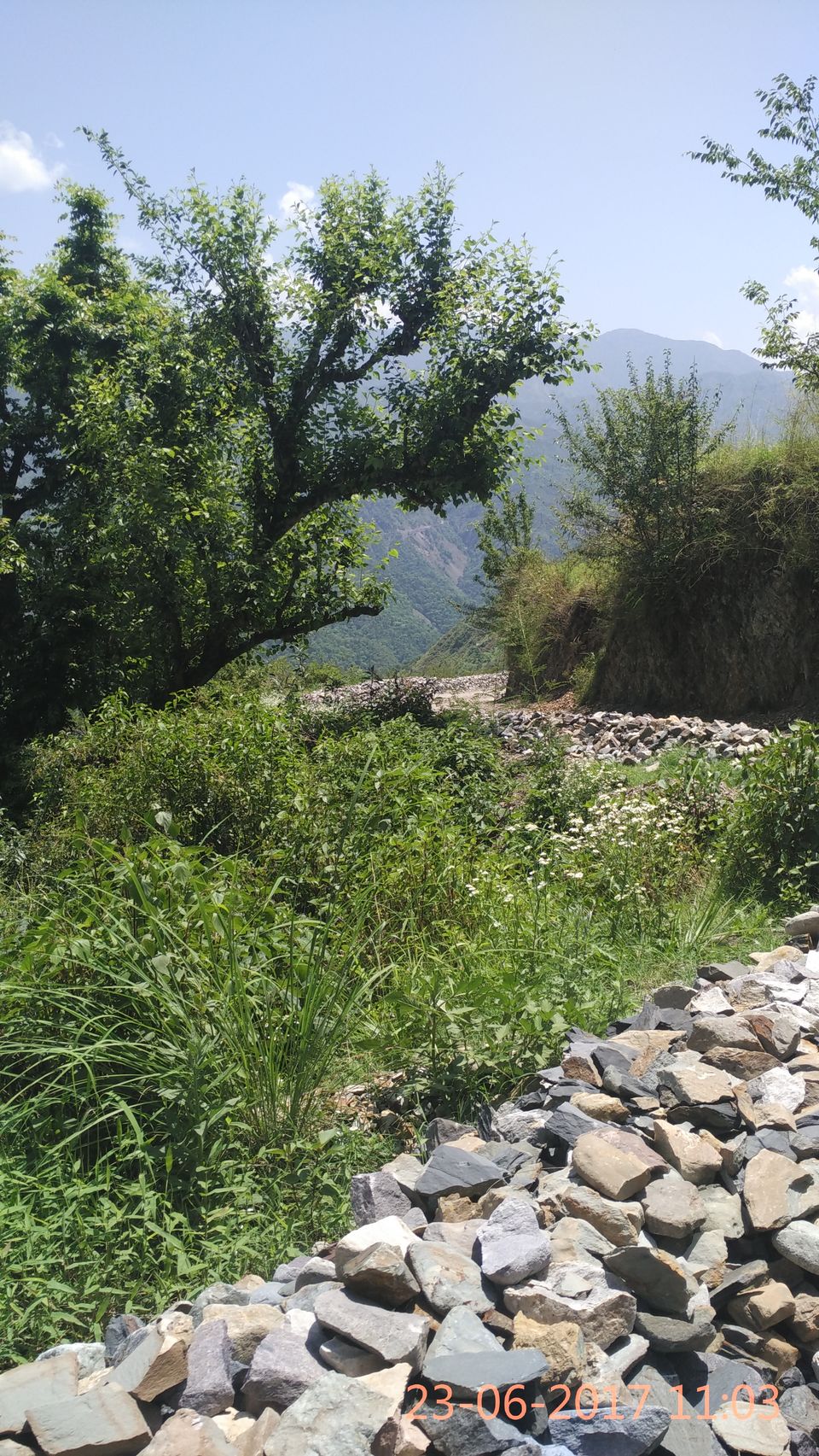 Photo of Up and Close....in a Mussoorie Village by Soma Majumdar
