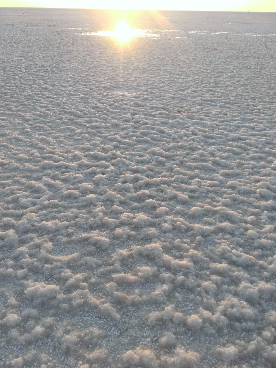 Photo of At the white salt desert ..banjara style by Soma Majumdar