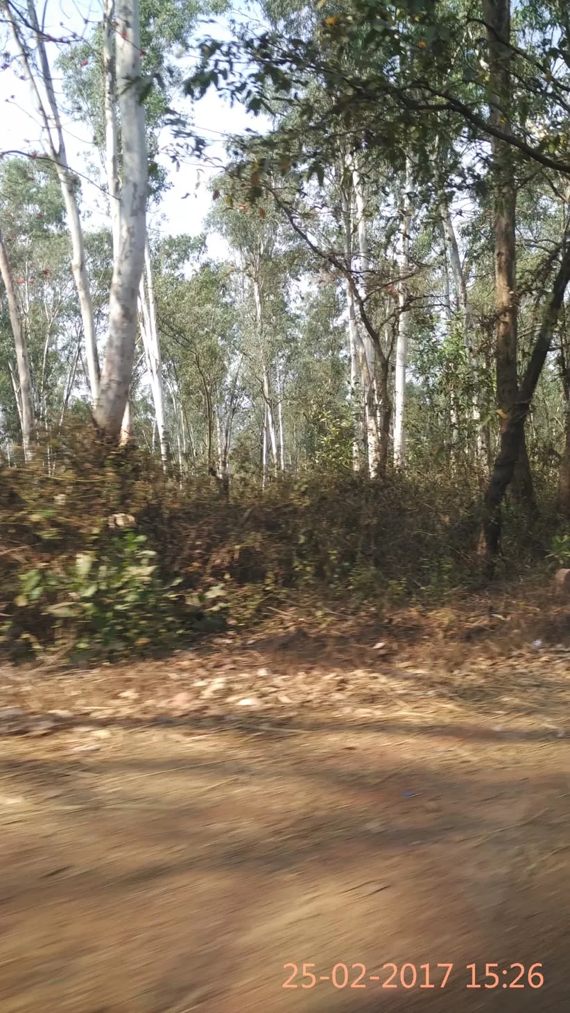 Photo of Assolda, Goa, India by Soma Majumdar