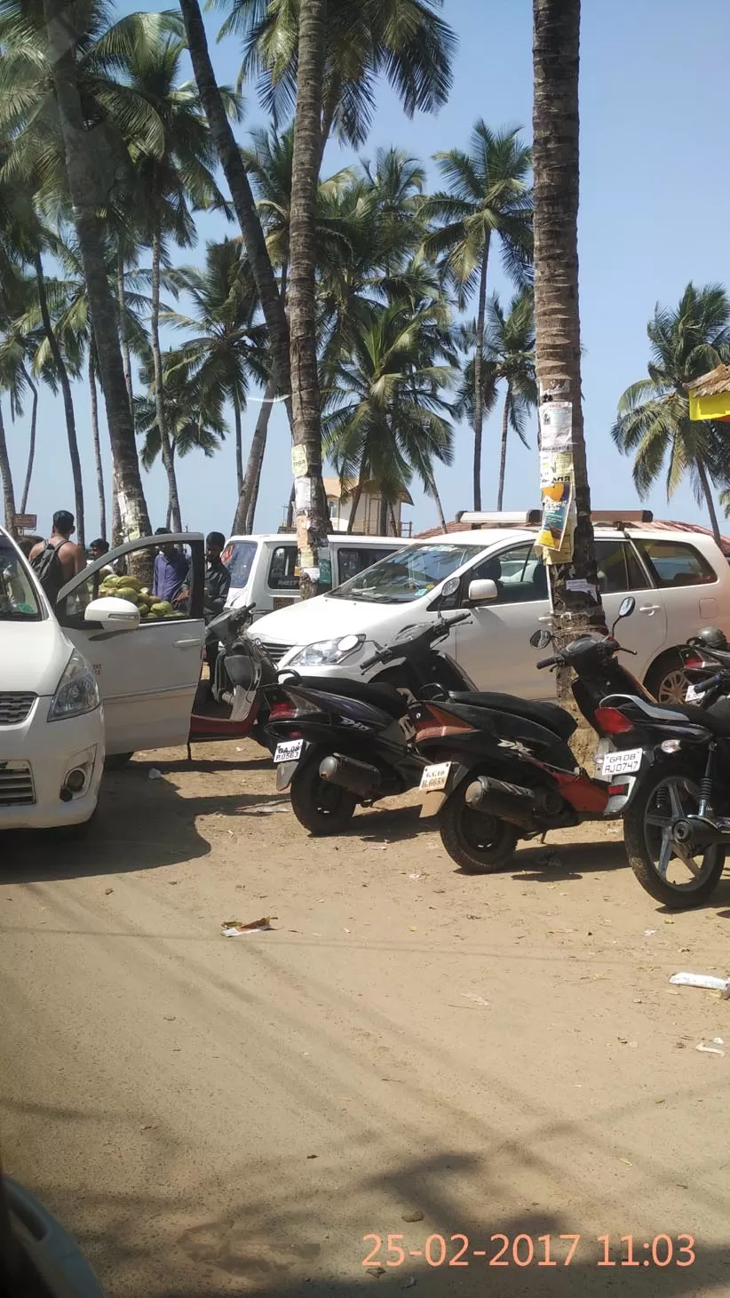 Photo of Palolem Beach, Canacona, Goa, India by Soma Majumdar