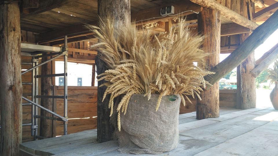 Photo of VILNIUS...a mix of Nature, Traditions and Abandon(PART 2); at The Kernave Resort by Soma Majumdar