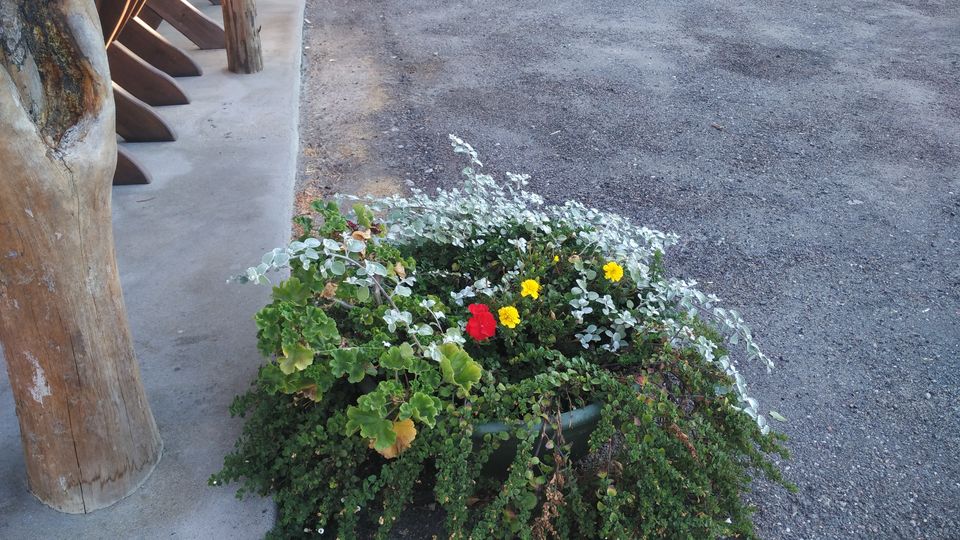 Photo of VILNIUS...a mix of Nature, Traditions and Abandon(PART 2); at The Kernave Resort by Soma Majumdar