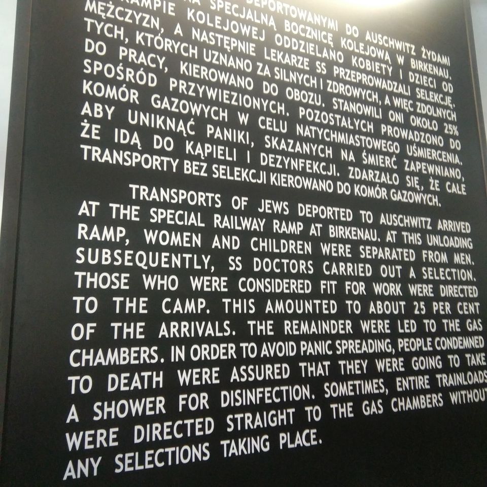 Photo of In Krakow's Killing Fields, #lifechangingtrip by Soma Majumdar