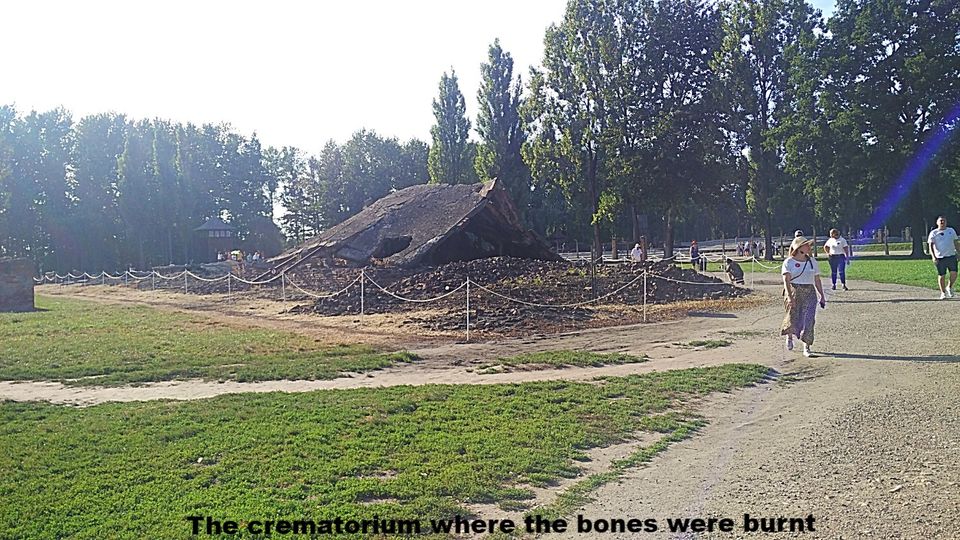 Photo of In Krakow's Killing Fields, #lifechangingtrip by Soma Majumdar
