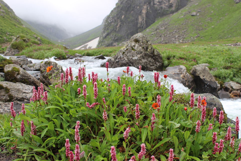 Photo of Hampta pass – Traversing two unique Himalayan valleys 4/9 by Neelam Khanduri