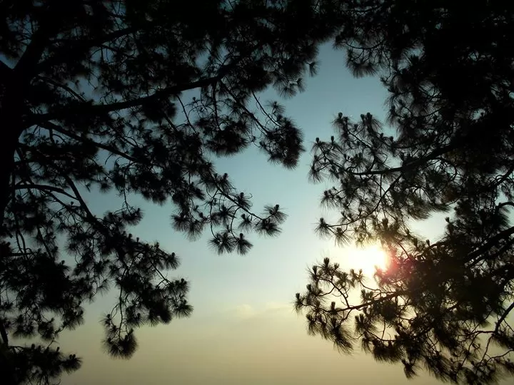 Photo of Kasauli, Himachal Pradesh, India by Amasikha Dey