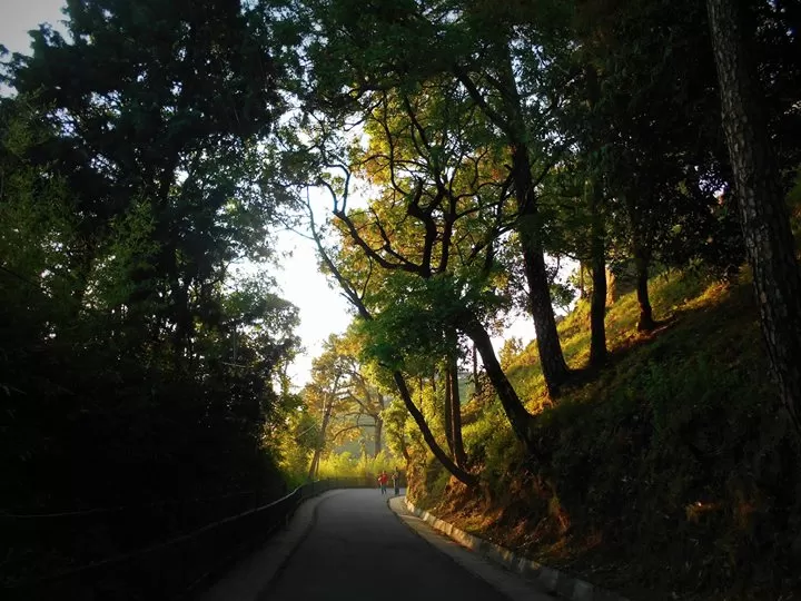 Photo of Kasauli, Himachal Pradesh, India by Amasikha Dey