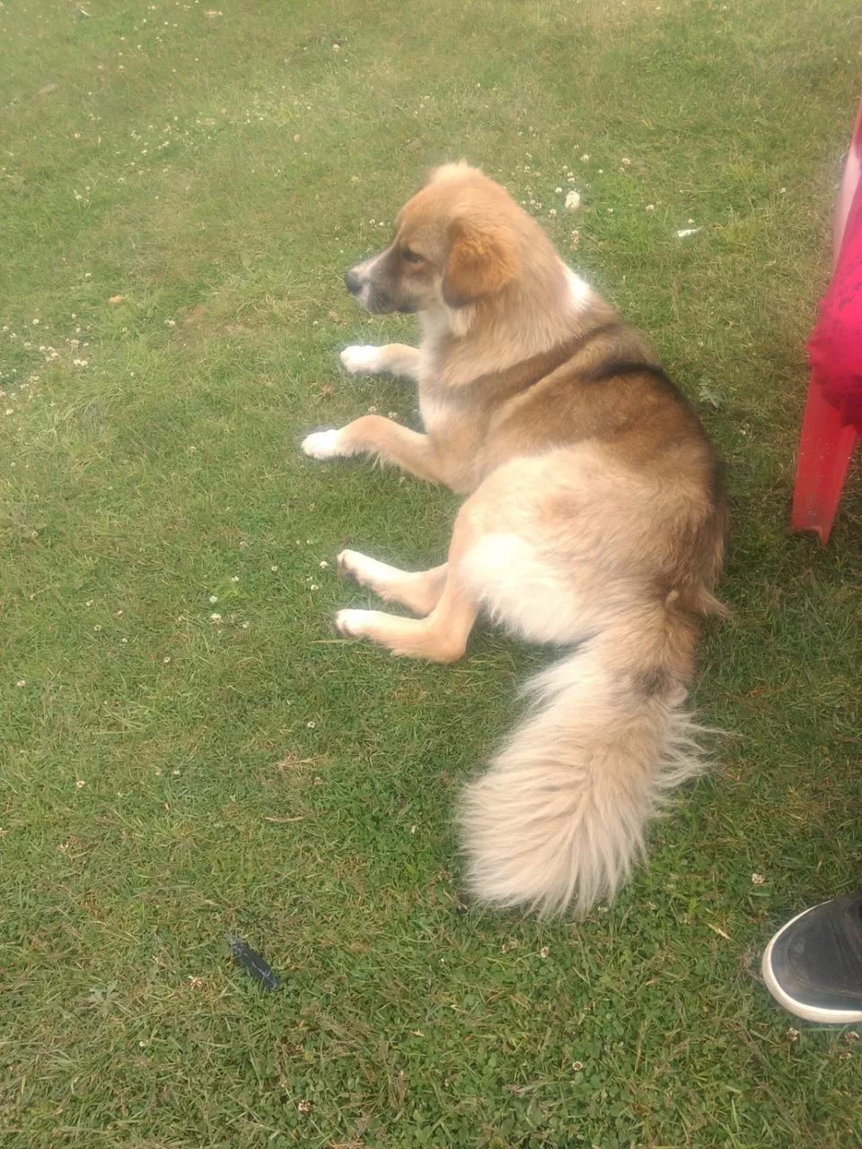 Photo of Waichin valley camps, Malana, Himachal Pradesh, India by Naren Lamba