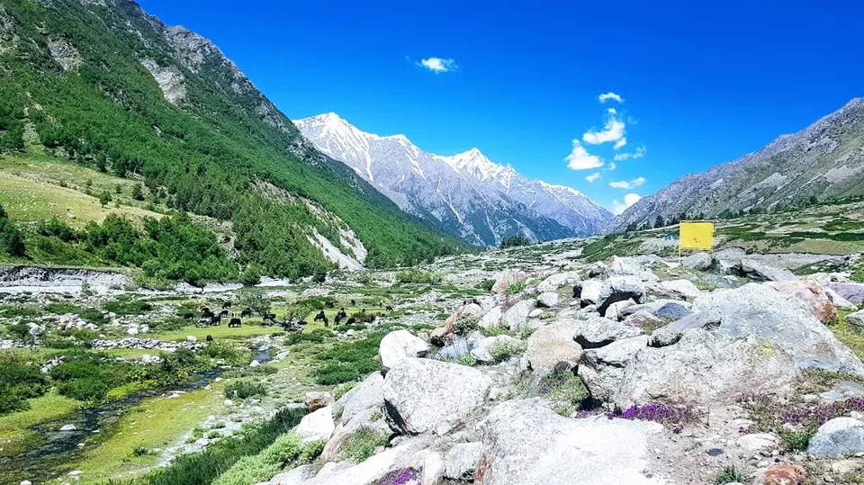 Photo of Chitkul, Himachal Pradesh, India by Naren Lamba