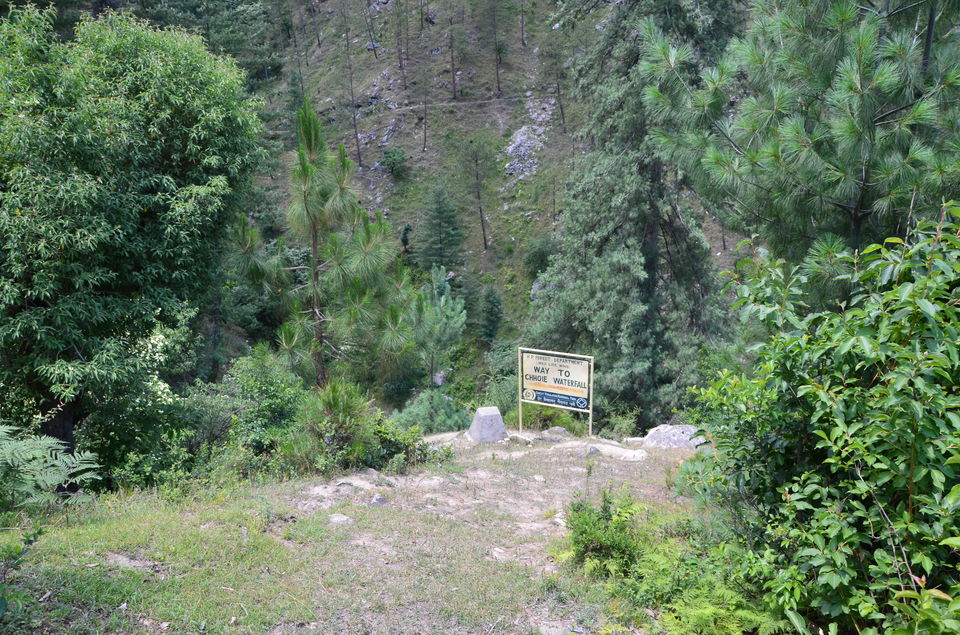 Photo of Gushaini, Himachal Pradesh, India by Naren Lamba