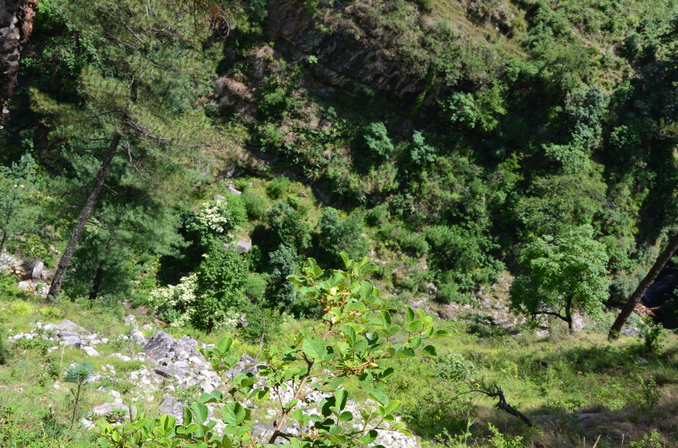 Photo of Gushaini, Himachal Pradesh, India by Naren Lamba