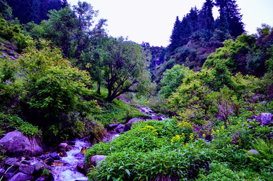 Photo of Waichin valley camps, Malana, Himachal Pradesh, India by Naren Lamba