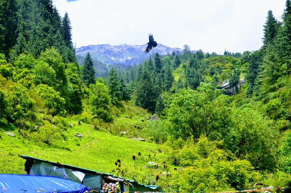 Photo of Waichin valley camps, Malana, Himachal Pradesh, India by Naren Lamba