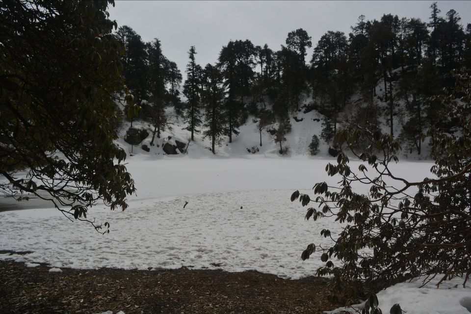Photo of A trip to Brahmatal. by Dr Suman Naskar