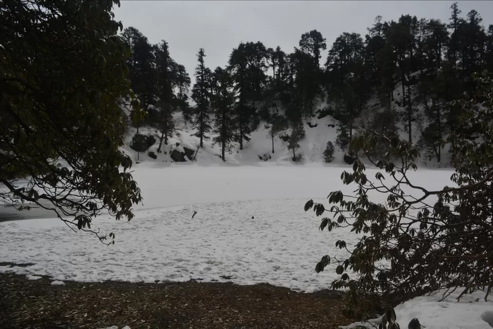 Photo of A trip to Brahmatal. by Dr Suman Naskar
