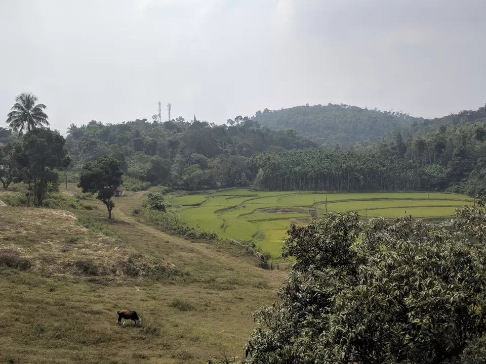 Photo of Sakleshpur, Karnataka, India by Arpan Shukla