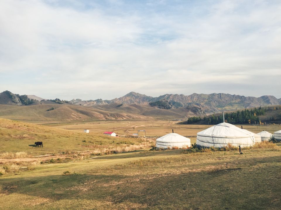 Photo of Mother Mongolia 5/5 by Emma Cunningham
