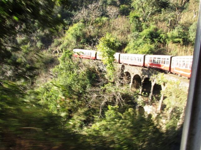 Photo of Shimla a peaceful chill down the spine !! by Shweta