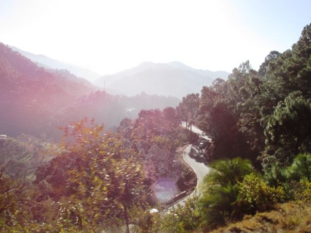 Photo of Shimla a peaceful chill down the spine !! by Shweta