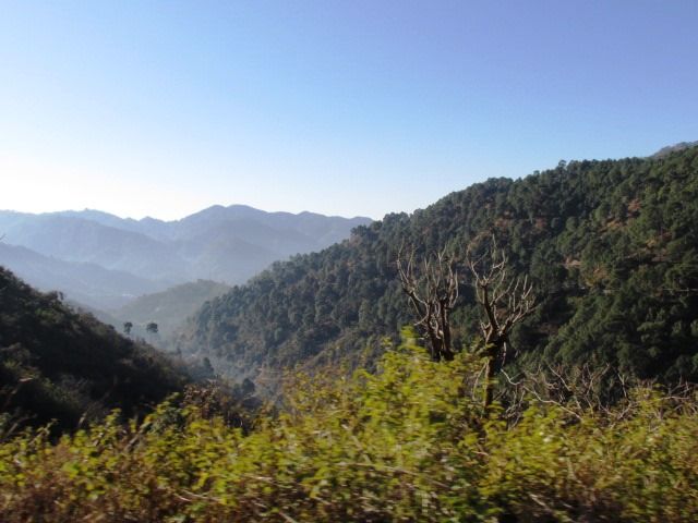 Photo of Shimla a peaceful chill down the spine !! by Shweta