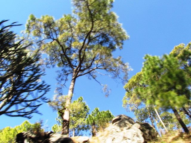 Photo of Shimla a peaceful chill down the spine !! by Shweta
