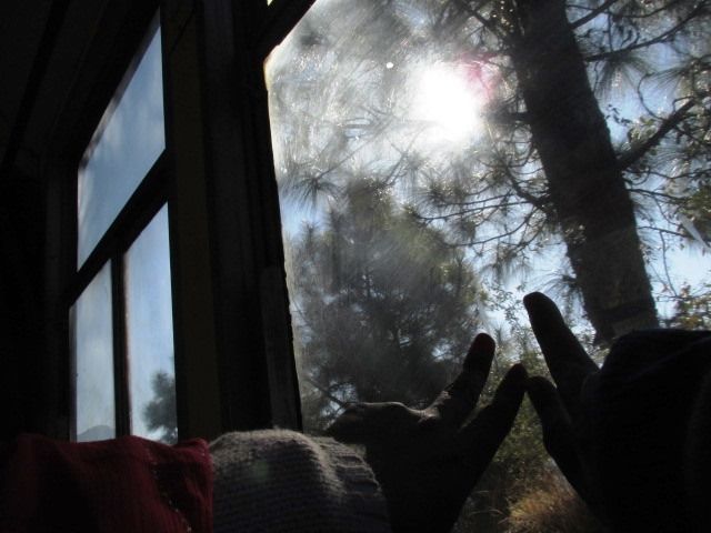 Photo of Shimla a peaceful chill down the spine !! by Shweta