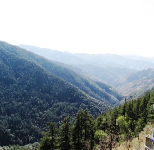 Photo of Shimla a peaceful chill down the spine !! by Shweta