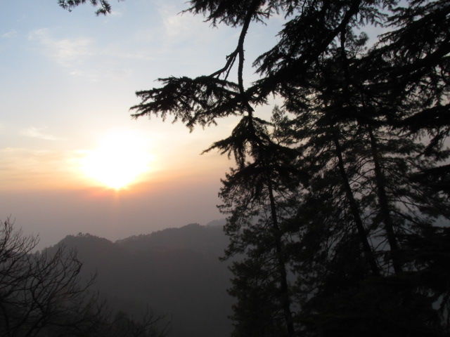 Photo of Shimla a peaceful chill down the spine !! by Shweta