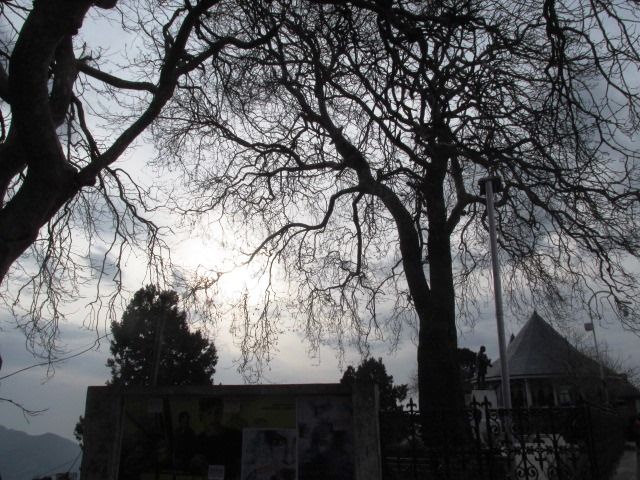 Photo of Shimla a peaceful chill down the spine !! by Shweta