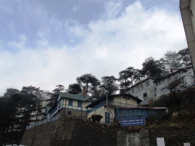 Photo of Shimla a peaceful chill down the spine !! by Shweta